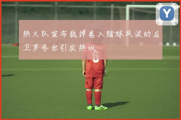 热火队宣布裁掉卷入赌球风波的后卫罗齐尔引发热议