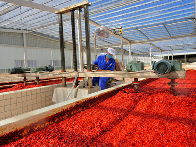 视觉看朝天 小区也能办大事，农副产品工业发展新篇章